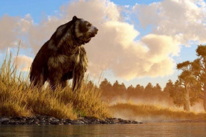 Niedźwiedź jaskiniowy Niedźwiedź jaskiniowy